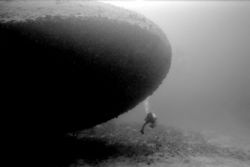 Pammie on the Bibb wreck Off Key Largo 130 ft natural lig... by Michael Salcito 